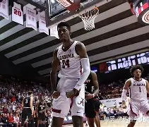 半岛体育官网-洛里昂主场对阵里尔