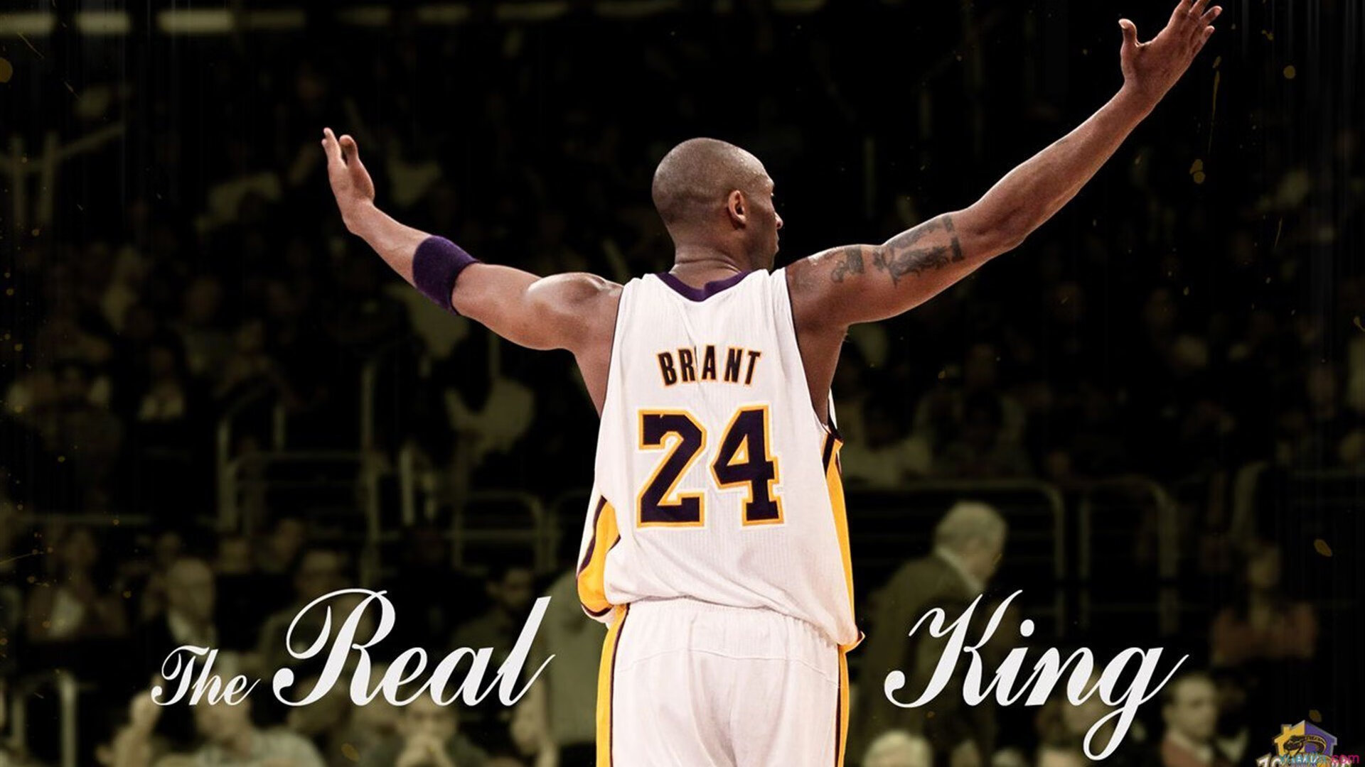 半岛体育娱乐-2025年nba联赛波特兰开拓者赛程