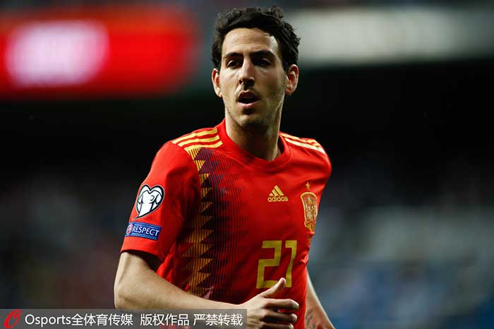 意大利女球迷欧洲杯