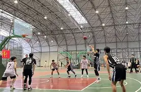 美洲杯篮球赛火爆展开,精彩不容错过的比赛