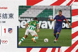 齐达内皇马全进球