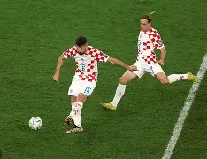 佩特科维奇足球教练