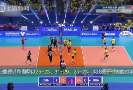 半岛体育官网-巴西vs