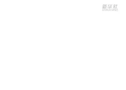 欧洲篮球联赛强队
